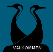 Välkommen till Hornborgasjöns Stugby!